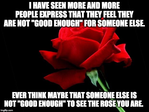 rose | I HAVE SEEN MORE AND MORE PEOPLE EXPRESS THAT THEY FEEL THEY ARE NOT "GOOD ENOUGH" FOR SOMEONE ELSE. EVER THINK MAYBE THAT SOMEONE ELSE IS NOT "GOOD ENOUGH" TO SEE THE ROSE YOU ARE. | image tagged in rose | made w/ Imgflip meme maker