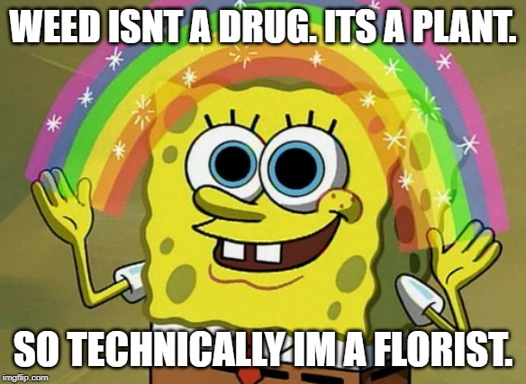 Imagination Spongebob | WEED ISNT A DRUG. ITS A PLANT. SO TECHNICALLY IM A FLORIST. | image tagged in memes,imagination spongebob | made w/ Imgflip meme maker