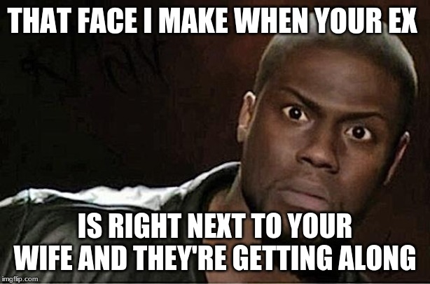 Kevin Hart | THAT FACE I MAKE WHEN YOUR EX; IS RIGHT NEXT TO YOUR WIFE AND THEY'RE GETTING ALONG | image tagged in memes,kevin hart | made w/ Imgflip meme maker