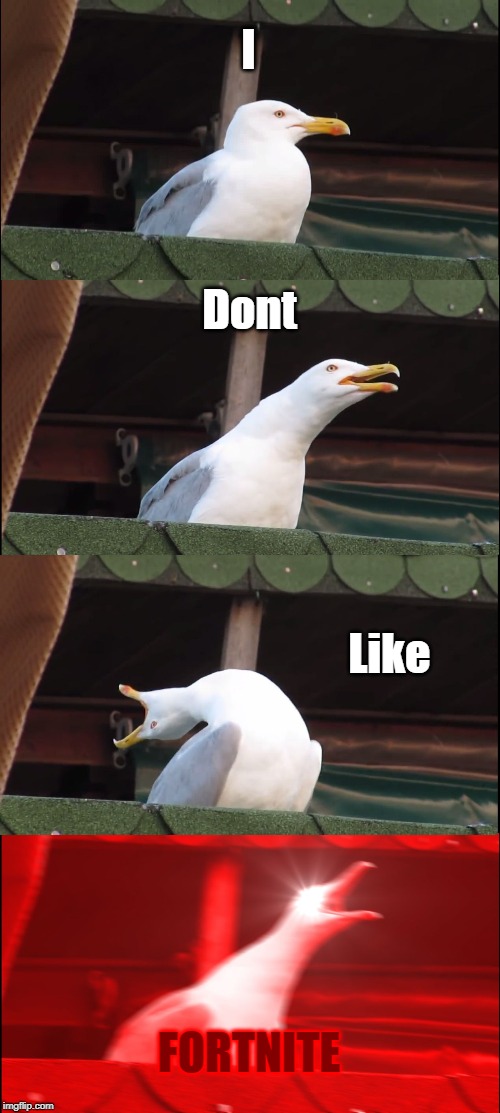 Inhaling Seagull | I; Dont; Like; FORTNITE | image tagged in memes,inhaling seagull | made w/ Imgflip meme maker