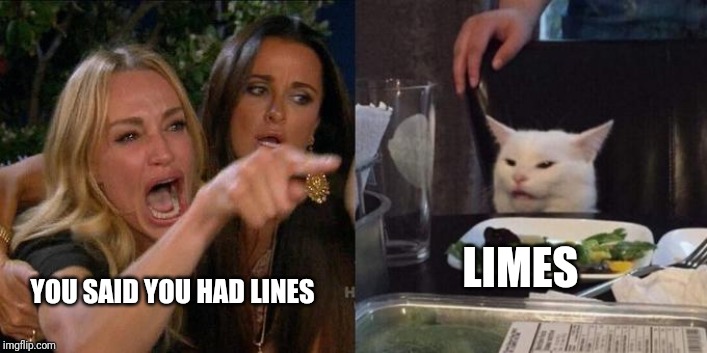 Woman Screaming at Cat | LIMES; YOU SAID YOU HAD LINES | image tagged in woman screaming at cat | made w/ Imgflip meme maker