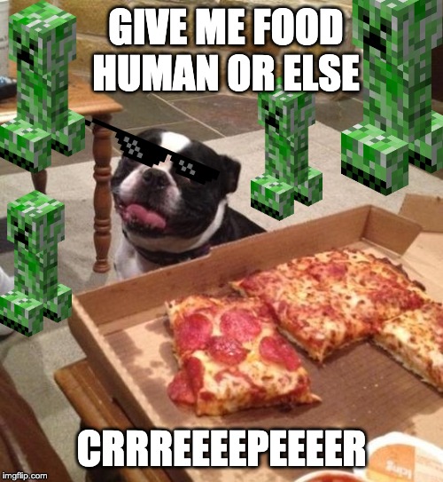 Hungry Pizza Dog |  GIVE ME FOOD HUMAN OR ELSE; CRRREEEEPEEEER | image tagged in hungry pizza dog | made w/ Imgflip meme maker