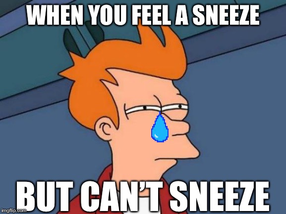 Futurama Fry Meme | WHEN YOU FEEL A SNEEZE; BUT CAN’T SNEEZE | image tagged in memes,futurama fry | made w/ Imgflip meme maker