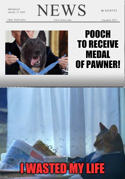 POOCH TO RECEIVE MEDAL OF PAWNER! I WASTED MY LIFE | image tagged in memes,i should buy a boat cat,news paper | made w/ Imgflip meme maker