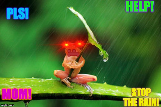 save the frogssksksksksksksksks | HELP! PLS! :(; MOM! STOP THE RAIN! | image tagged in save,kermit the frog | made w/ Imgflip meme maker