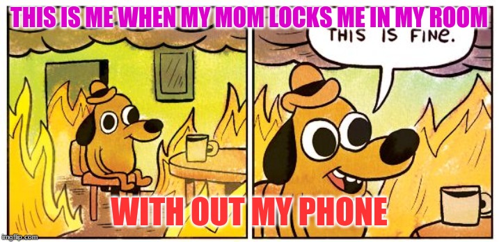 this is fine | THIS IS ME WHEN MY MOM LOCKS ME IN MY ROOM; WITH OUT MY PHONE | image tagged in this is fine | made w/ Imgflip meme maker