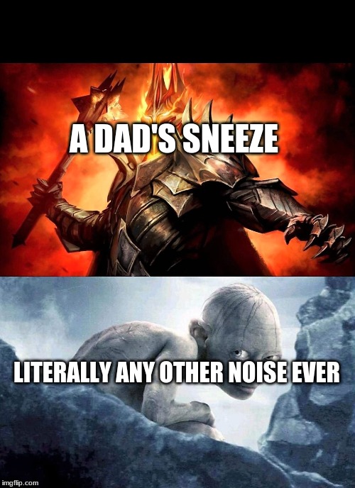 What you think you look like | A DAD'S SNEEZE; LITERALLY ANY OTHER NOISE EVER | image tagged in what you think you look like | made w/ Imgflip meme maker