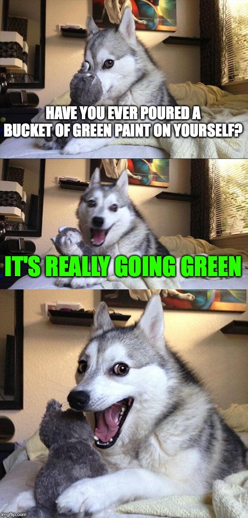 Bad Pun Dog Meme | HAVE YOU EVER POURED A BUCKET OF GREEN PAINT ON YOURSELF? IT'S REALLY GOING GREEN | image tagged in memes,bad pun dog | made w/ Imgflip meme maker