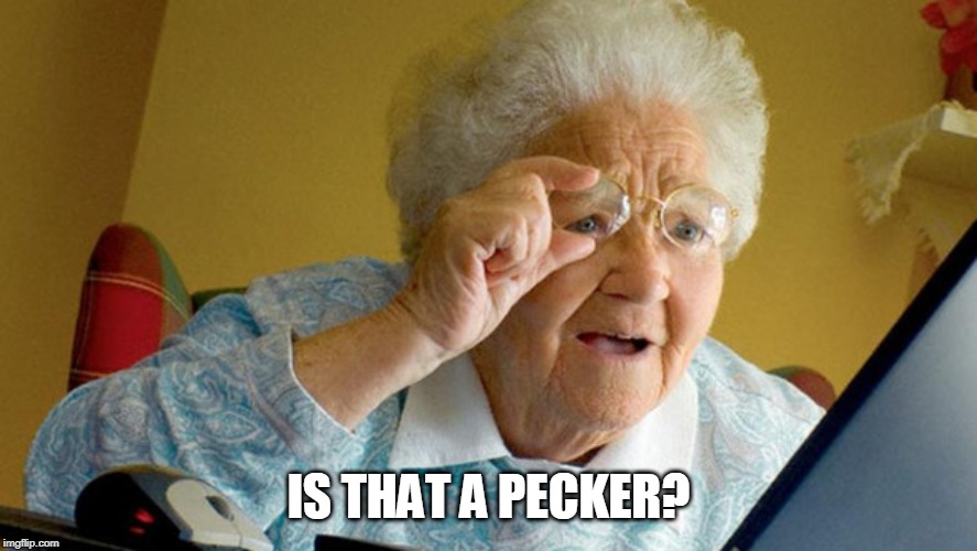 grandma computer | IS THAT A PECKER? | image tagged in grandma computer | made w/ Imgflip meme maker