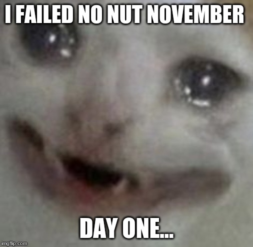 crying cat | I FAILED NO NUT NOVEMBER; DAY ONE... | image tagged in crying cat | made w/ Imgflip meme maker