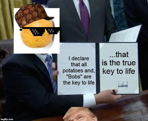 Trump Bill Signing Meme | ...that is the true key to life; I declare that all potatoes and, "Bobs" are the key to life | image tagged in memes,trump bill signing | made w/ Imgflip meme maker