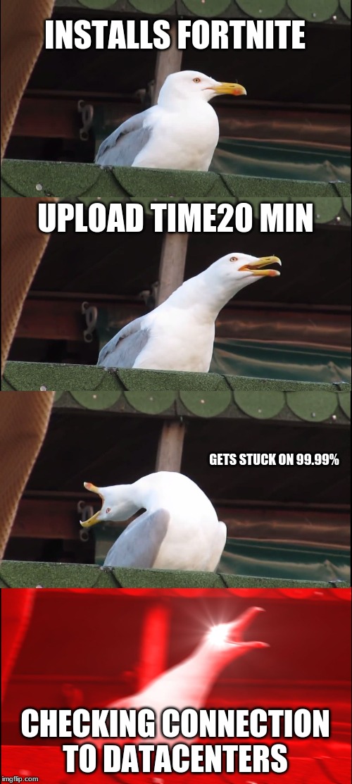 Inhaling Seagull Meme | INSTALLS FORTNITE; UPLOAD TIME20 MIN; GETS STUCK ON 99.99%; CHECKING CONNECTION TO DATACENTERS | image tagged in memes,inhaling seagull | made w/ Imgflip meme maker