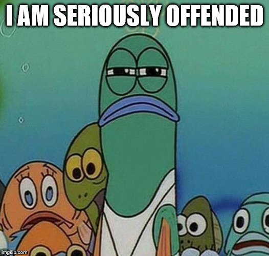 SpongeBob | I AM SERIOUSLY OFFENDED | image tagged in spongebob | made w/ Imgflip meme maker