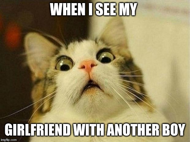 Scared Cat Meme | WHEN I SEE MY; GIRLFRIEND WITH ANOTHER BOY | image tagged in memes,scared cat | made w/ Imgflip meme maker