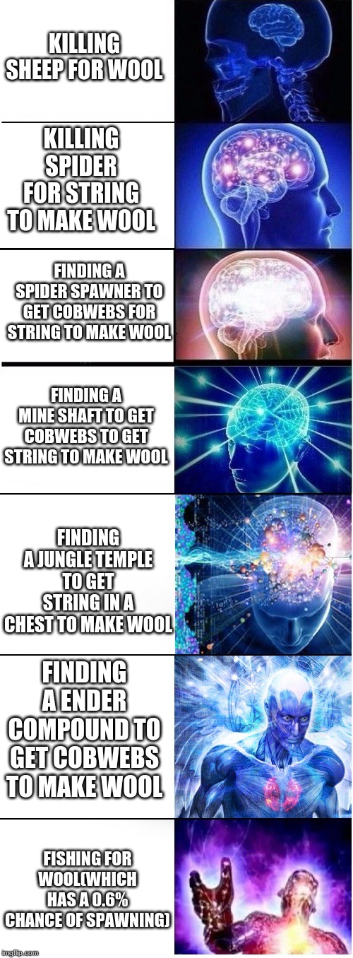 Expanding brain extended 2 | KILLING SHEEP FOR WOOL; KILLING SPIDER FOR STRING TO MAKE WOOL; FINDING A SPIDER SPAWNER TO GET COBWEBS FOR STRING TO MAKE WOOL; FINDING A MINE SHAFT TO GET COBWEBS TO GET STRING TO MAKE WOOL; FINDING A JUNGLE TEMPLE TO GET STRING IN A CHEST TO MAKE WOOL; FINDING A ENDER COMPOUND TO GET COBWEBS TO MAKE WOOL; FISHING FOR WOOL(WHICH HAS A 0.6% CHANCE OF SPAWNING) | image tagged in expanding brain extended 2 | made w/ Imgflip meme maker