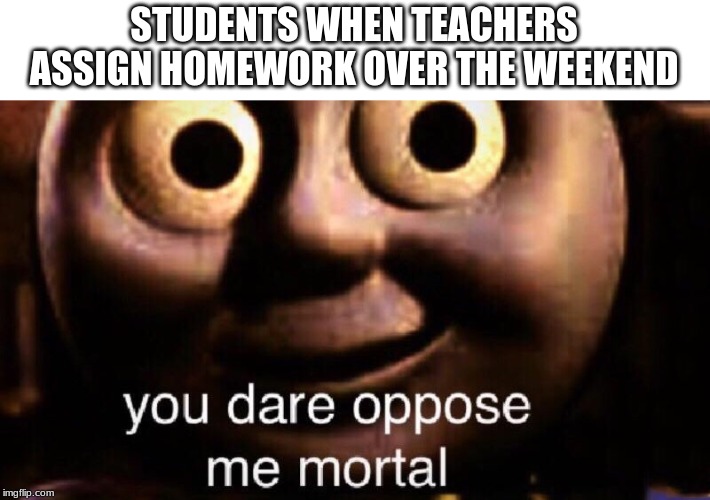 You dare oppose me mortal | STUDENTS WHEN TEACHERS ASSIGN HOMEWORK OVER THE WEEKEND | image tagged in you dare oppose me mortal | made w/ Imgflip meme maker