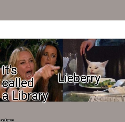 Woman Yelling At Cat | Lieberry; It's called a Library | image tagged in memes,woman yelling at a cat | made w/ Imgflip meme maker