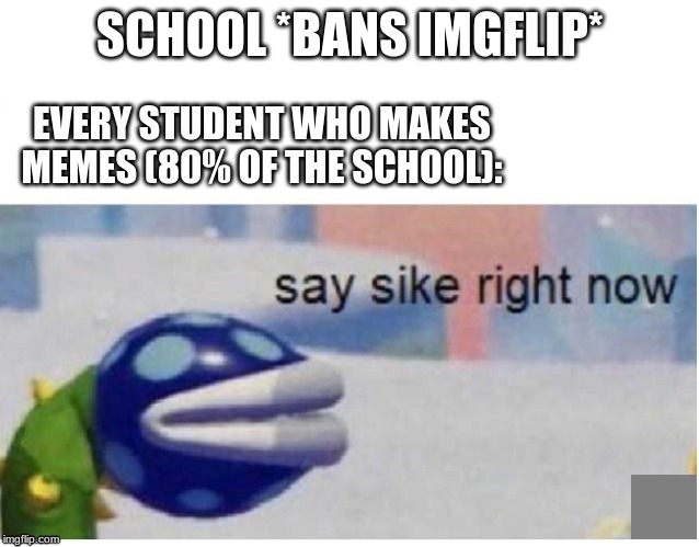 say sike right now | SCHOOL *BANS IMGFLIP*; EVERY STUDENT WHO MAKES MEMES (80% OF THE SCHOOL): | image tagged in say sike right now | made w/ Imgflip meme maker