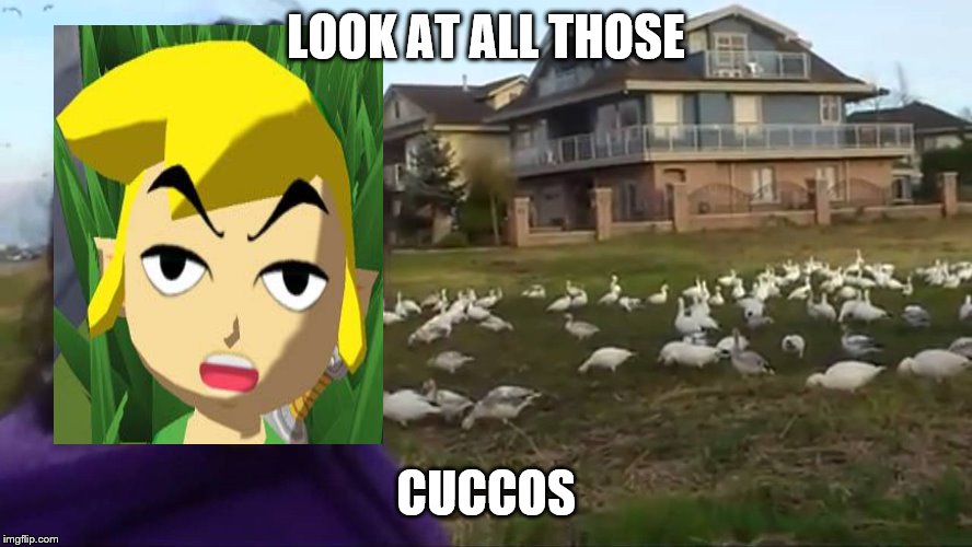 Look at All Those Chickens | LOOK AT ALL THOSE; CUCCOS | image tagged in look at all those chickens | made w/ Imgflip meme maker