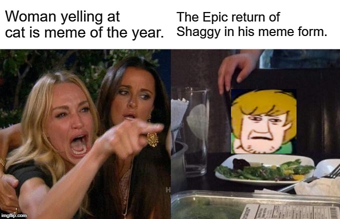 Meme of 2019 | Woman yelling at cat is meme of the year. The Epic return of Shaggy in his meme form. | image tagged in memes,woman yelling at a cat,shaggy,meme war,2019 | made w/ Imgflip meme maker