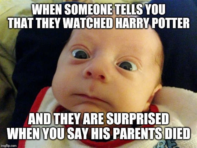 Harry Potter Memes Only True Fans Would Understand 