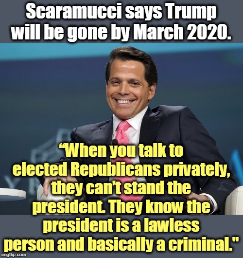 There is no Deep State. It's right there on the surface. Republicans hate Trump, a lot. Don't pretend it's just Democrats. | Scaramucci says Trump will be gone by March 2020. “When you talk to elected Republicans privately, they can’t stand the president. They know the president is a lawless person and basically a criminal." | image tagged in anthony scaramucci,trump,resignation,lawless,criminal,deep state | made w/ Imgflip meme maker