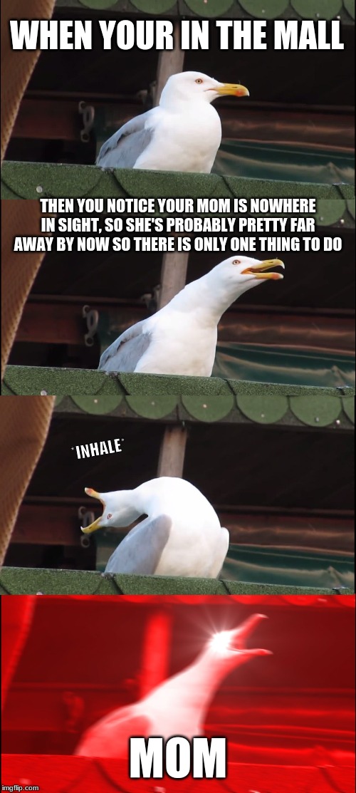 Inhaling Seagull | WHEN YOUR IN THE MALL; THEN YOU NOTICE YOUR MOM IS NOWHERE IN SIGHT, SO SHE'S PROBABLY PRETTY FAR AWAY BY NOW SO THERE IS ONLY ONE THING TO DO; *INHALE*; MOM | image tagged in memes,inhaling seagull | made w/ Imgflip meme maker