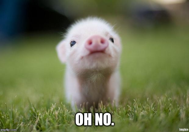 piglet | OH NO. | image tagged in piglet | made w/ Imgflip meme maker