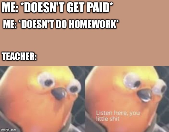 Listen here you little shit bird | ME: *DOESN'T GET PAID*; ME: *DOESN'T DO HOMEWORK*; TEACHER: | image tagged in listen here you little shit bird | made w/ Imgflip meme maker