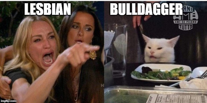 white cat table | LESBIAN               BULLDAGGER | image tagged in white cat table | made w/ Imgflip meme maker