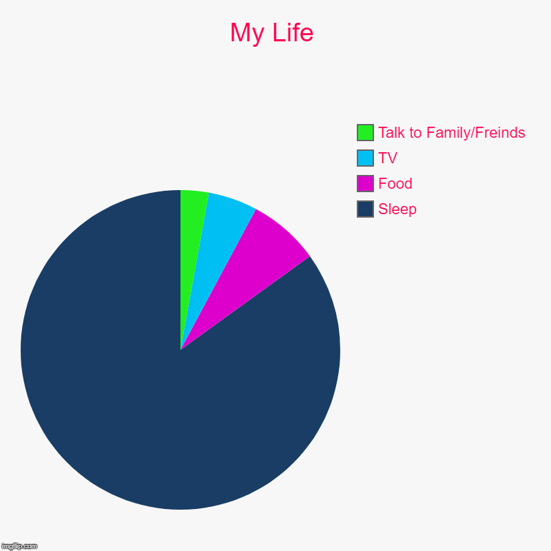 What? It's true | My Life | Sleep, Food, TV, Talk to Family/Freinds | image tagged in i need to sleeeeeep | made w/ Imgflip chart maker