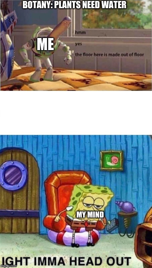 how I feel about school | image tagged in memes,hmm yes the floor here is made out of floor,spongebob ight imma head out | made w/ Imgflip meme maker