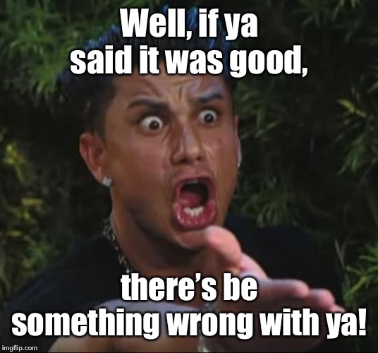 DJ Pauly D Meme | Well, if ya said it was good, there’s be something wrong with ya! | image tagged in memes,dj pauly d | made w/ Imgflip meme maker
