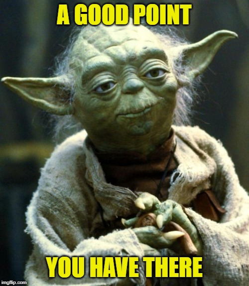 Star Wars Yoda Meme | A GOOD POINT YOU HAVE THERE | image tagged in memes,star wars yoda | made w/ Imgflip meme maker