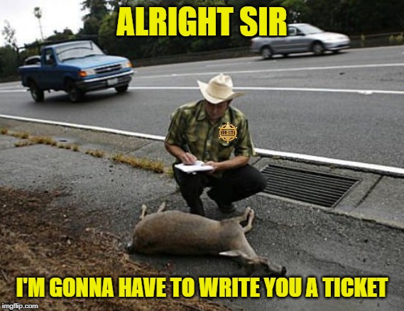 ALRIGHT SIR I'M GONNA HAVE TO WRITE YOU A TICKET | made w/ Imgflip meme maker