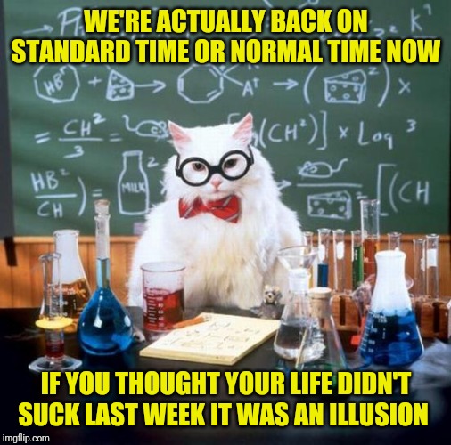Chemistry Cat Meme | WE'RE ACTUALLY BACK ON STANDARD TIME OR NORMAL TIME NOW; IF YOU THOUGHT YOUR LIFE DIDN'T SUCK LAST WEEK IT WAS AN ILLUSION | image tagged in memes,chemistry cat | made w/ Imgflip meme maker