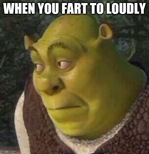 Shrek | WHEN YOU FART TO LOUDLY | image tagged in shrek | made w/ Imgflip meme maker