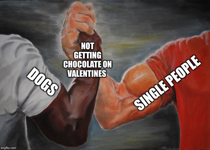 Epic Handshake Meme | NOT GETTING CHOCOLATE ON VALENTINES; SINGLE PEOPLE; DOGS | image tagged in epic handshake | made w/ Imgflip meme maker