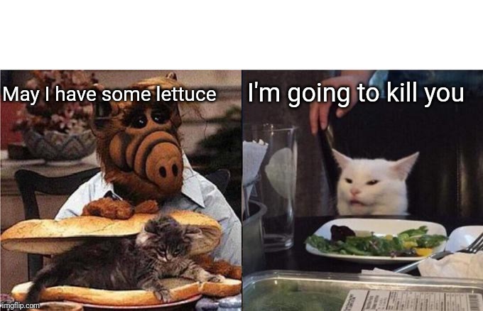 Woman Yelling At Cat Meme | I'm going to kill you; May I have some lettuce | image tagged in memes,woman yelling at a cat | made w/ Imgflip meme maker
