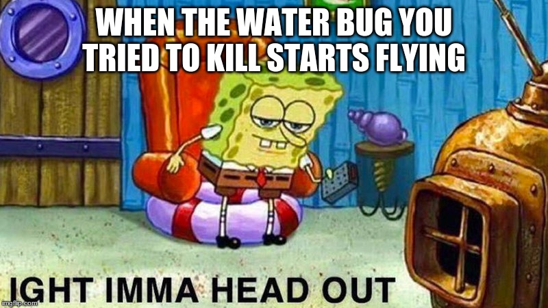 Aight ima head out | WHEN THE WATER BUG YOU TRIED TO KILL STARTS FLYING | image tagged in aight ima head out | made w/ Imgflip meme maker
