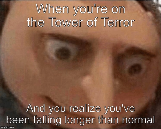 uh oh Gru | When you're on the Tower of Terror; And you realize you've been falling longer than normal | image tagged in uh oh gru | made w/ Imgflip meme maker