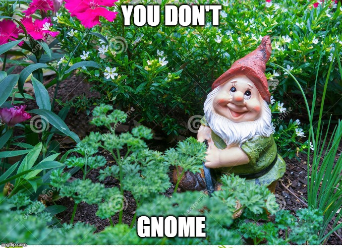 you don't gnome | YOU DON'T; GNOME | image tagged in gnome,pun | made w/ Imgflip meme maker