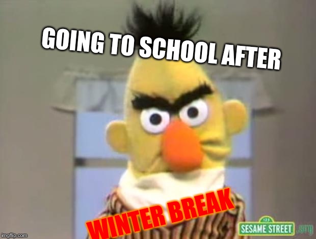 Sesame Street - Angry Bert | GOING TO SCHOOL AFTER; WINTER BREAK | image tagged in sesame street - angry bert | made w/ Imgflip meme maker