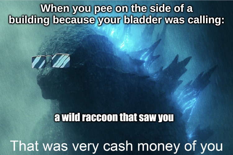 When you pee on the side of a building because your bladder was calling:; a wild raccoon that saw you | image tagged in memes,animals | made w/ Imgflip meme maker