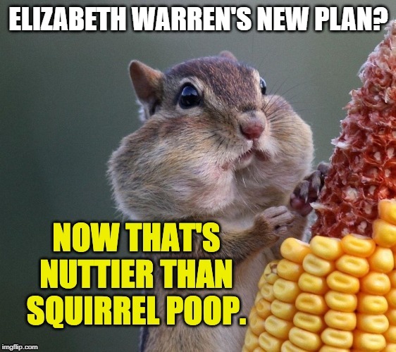 nutty fruit cake | ELIZABETH WARREN'S NEW PLAN? | image tagged in warren buffett,medicare plan,nuts | made w/ Imgflip meme maker