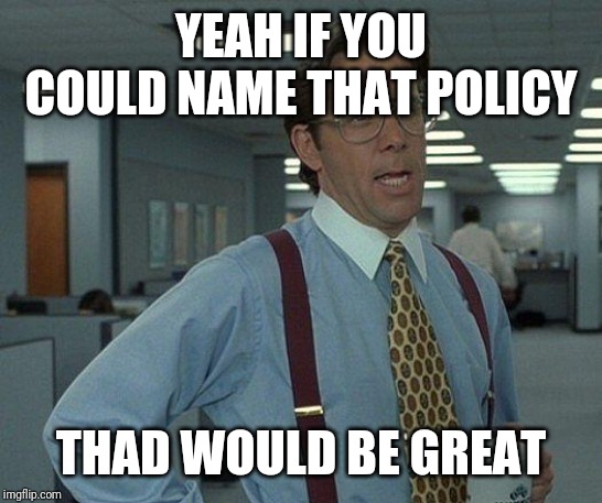 Yeah if you could  | YEAH IF YOU COULD NAME THAT POLICY THAD WOULD BE GREAT | image tagged in yeah if you could | made w/ Imgflip meme maker