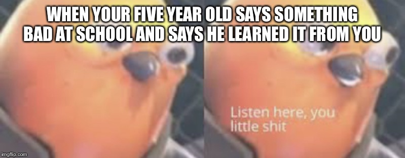 Listen here you little shit bird | WHEN YOUR FIVE YEAR OLD SAYS SOMETHING BAD AT SCHOOL AND SAYS HE LEARNED IT FROM YOU | image tagged in listen here you little shit bird | made w/ Imgflip meme maker