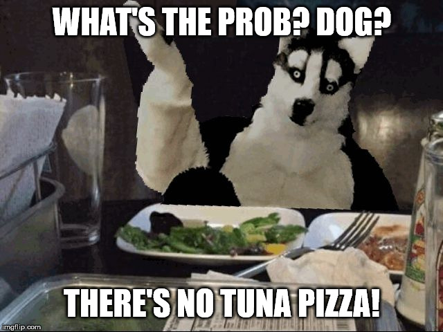 Robin Husky | WHAT'S THE PROB? DOG? THERE'S NO TUNA PIZZA! | image tagged in robin husky | made w/ Imgflip meme maker