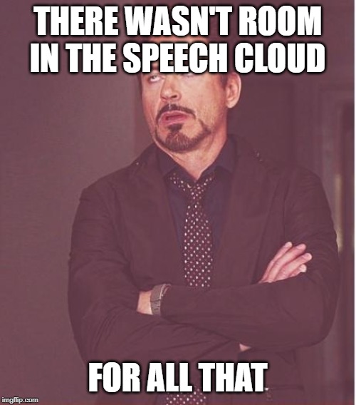 Face You Make Robert Downey Jr Meme | THERE WASN'T ROOM IN THE SPEECH CLOUD FOR ALL THAT | image tagged in memes,face you make robert downey jr | made w/ Imgflip meme maker