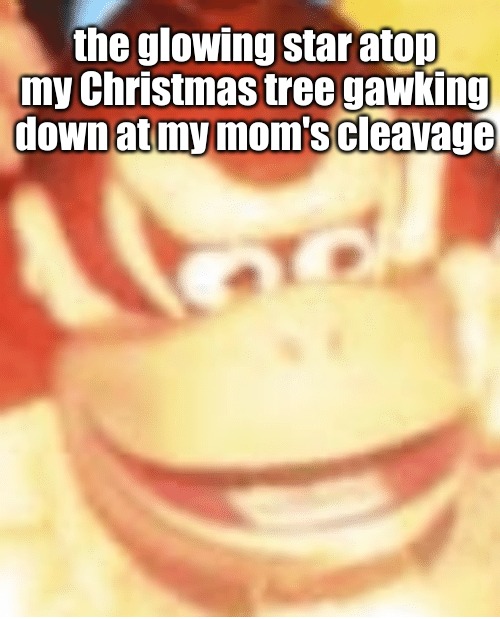 the glowing star atop my Christmas tree gawking down at my mom's cleavage | image tagged in memes,happy holidays | made w/ Imgflip meme maker